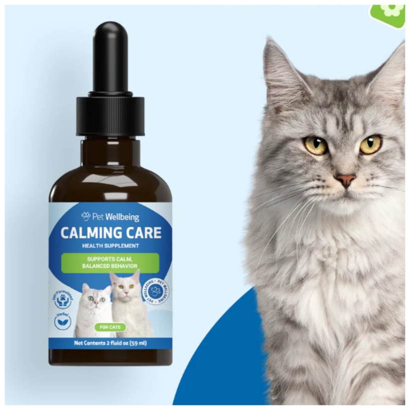 bottle of Pet Wellbeing Calming Care cat supplement next to a fluffy gray long-haired cat 