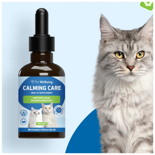 bottle of Pet Wellbeing Calming Care cat supplement next to a fluffy gray long-haired cat 