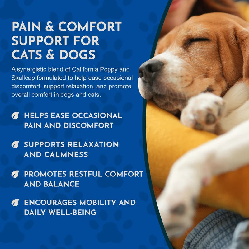 Comfort Plus Herbal Tonic Blend | Manages Discomfort & Stress