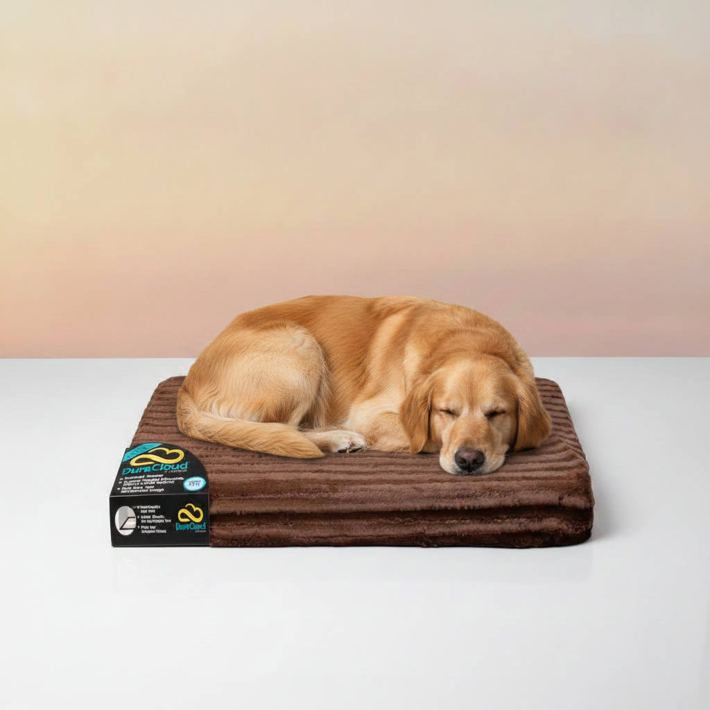 A brown fleece DuraCloud orthopedic pet bed from Curicyn, displayed on a white surface against a warm beige gradient background, and a golden retriever asleep on the bed.