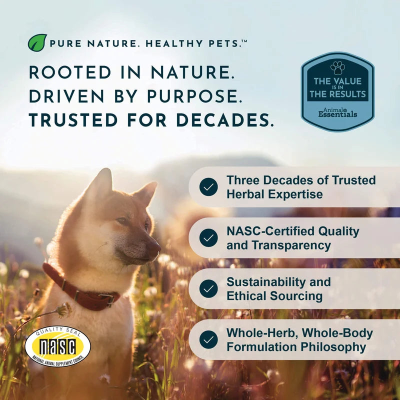 Dog in a field with product branding and text about trusted herbal expertise, NASC certification, sustainability, and ethical sourcing.