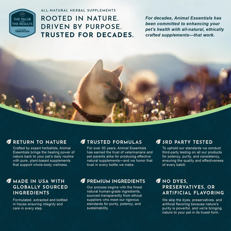 Product information with text and image of a dog in a field of flowers
