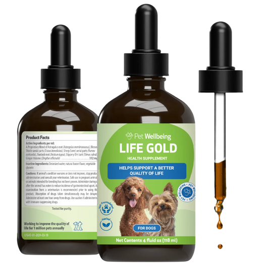 Pet Wellbeing Life Gold health supplement for dogs bottle with dropper