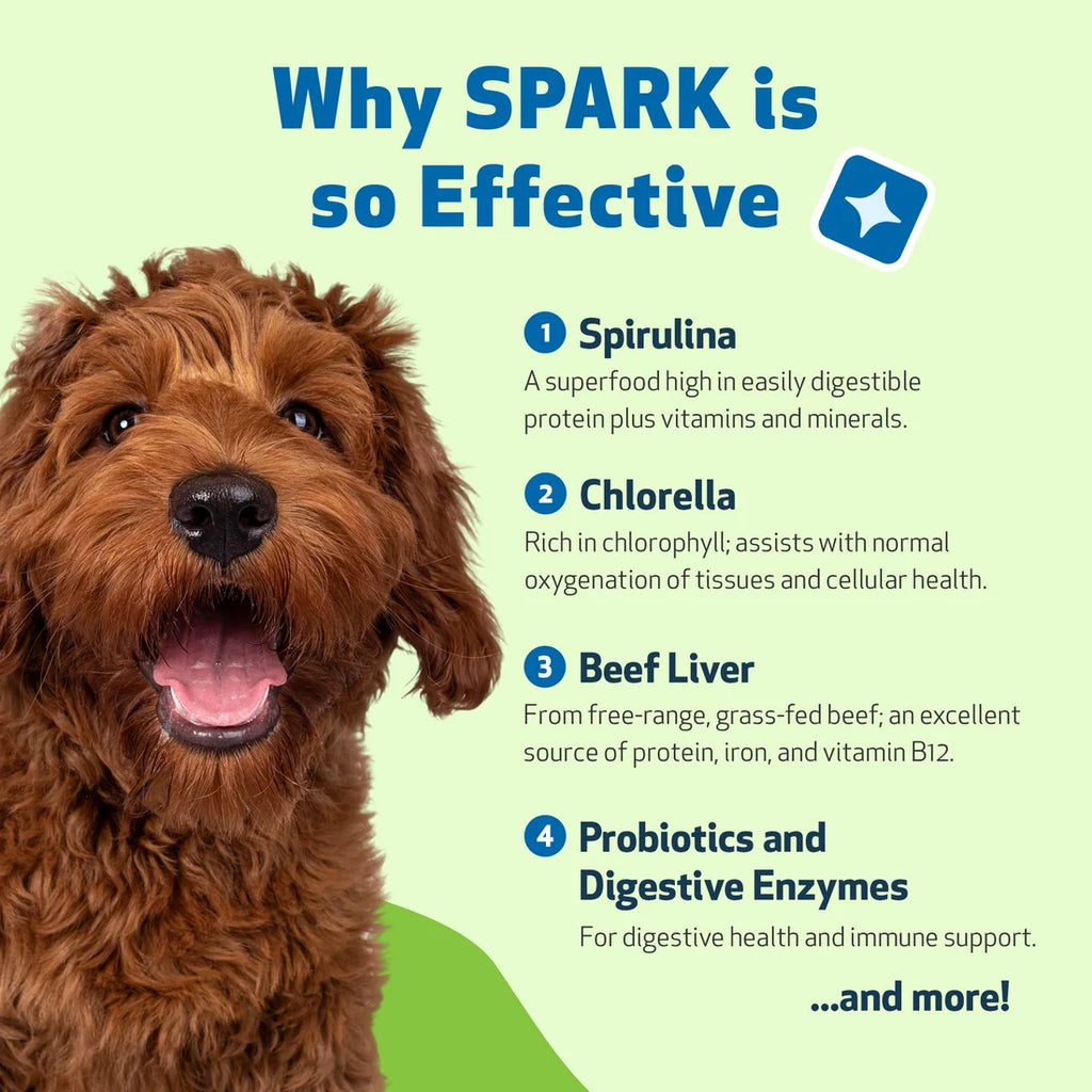 SPARK - Daily Nutritional Greens Supplement for Dogs