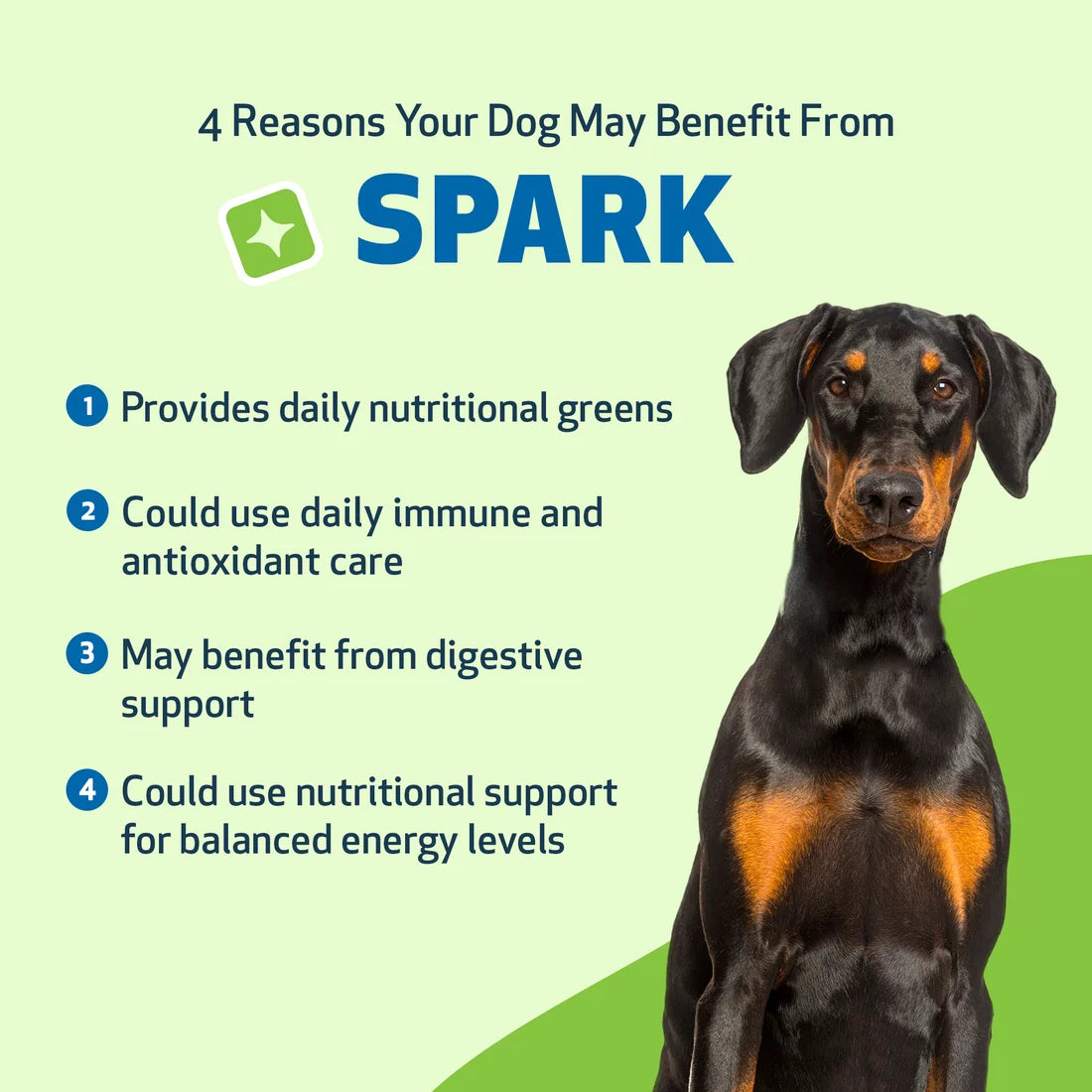 SPARK - Daily Nutritional Greens Supplement for Dogs