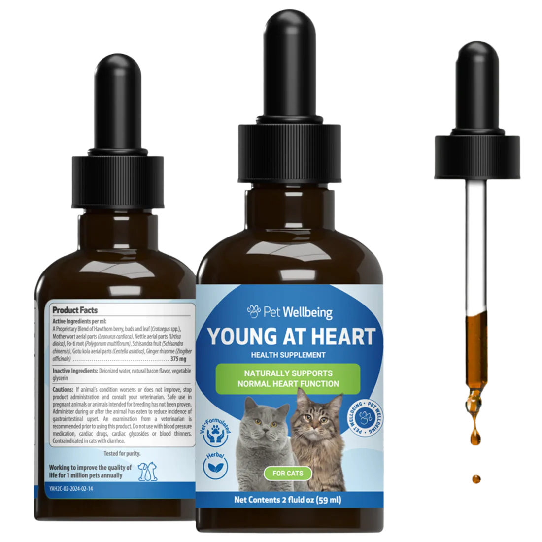 Pet Wellbeing Young at Heart health supplement for cats bottle with dropper