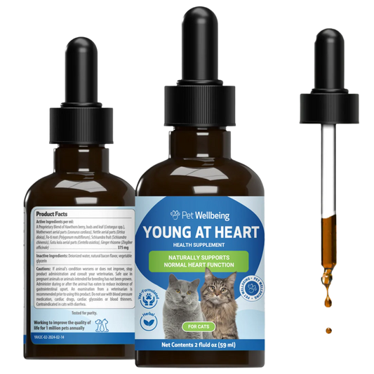Pet Wellbeing Young at Heart health supplement for cats bottle with dropper
