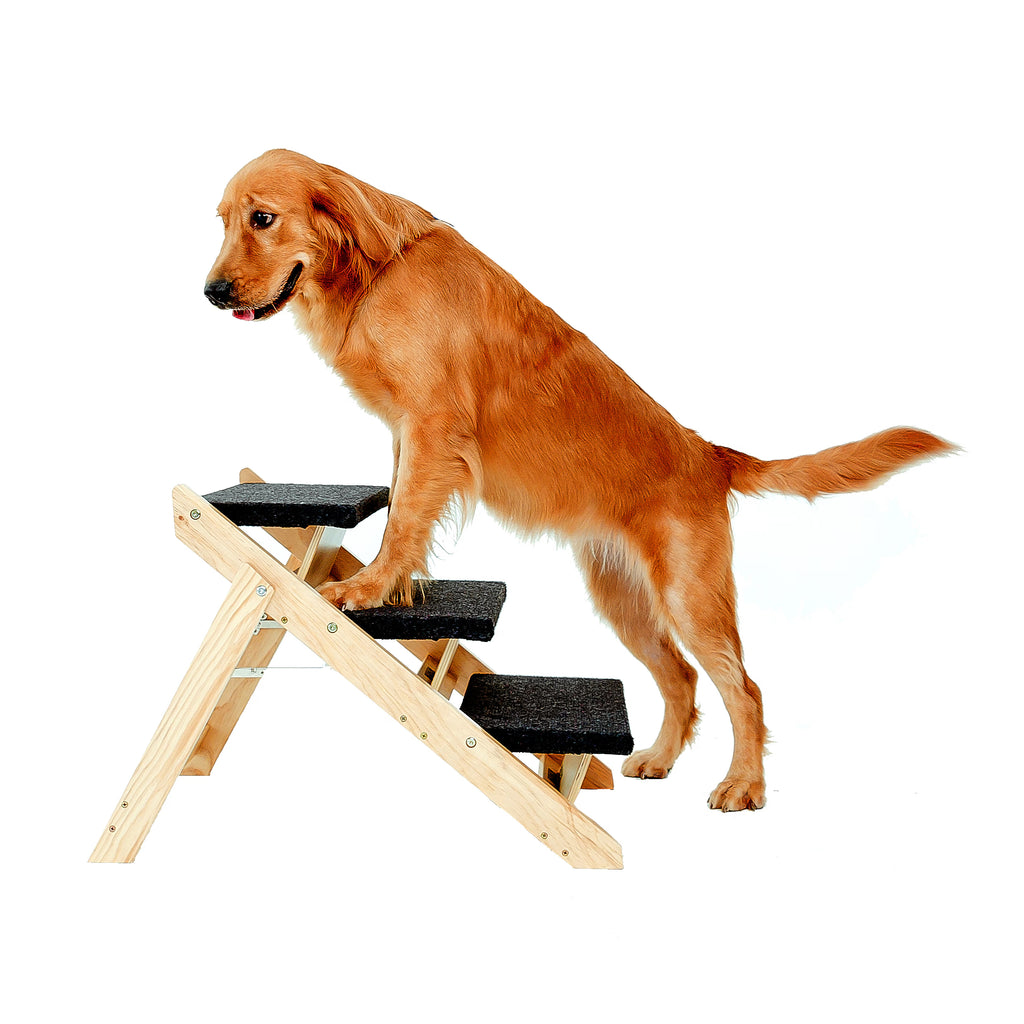 Dog using a set of wooden stairs