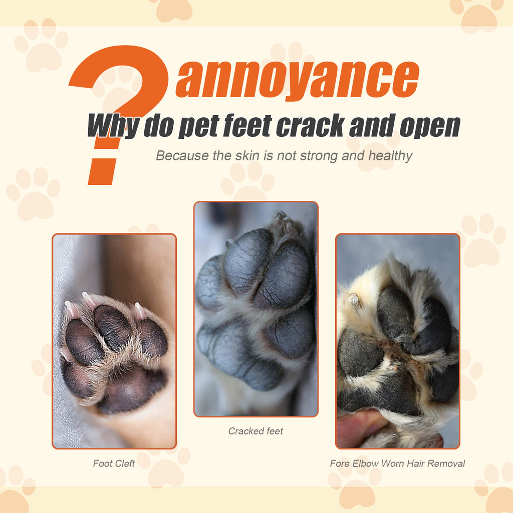 Educational poster about pet foot care with images of cracked paws and text explaining causes.