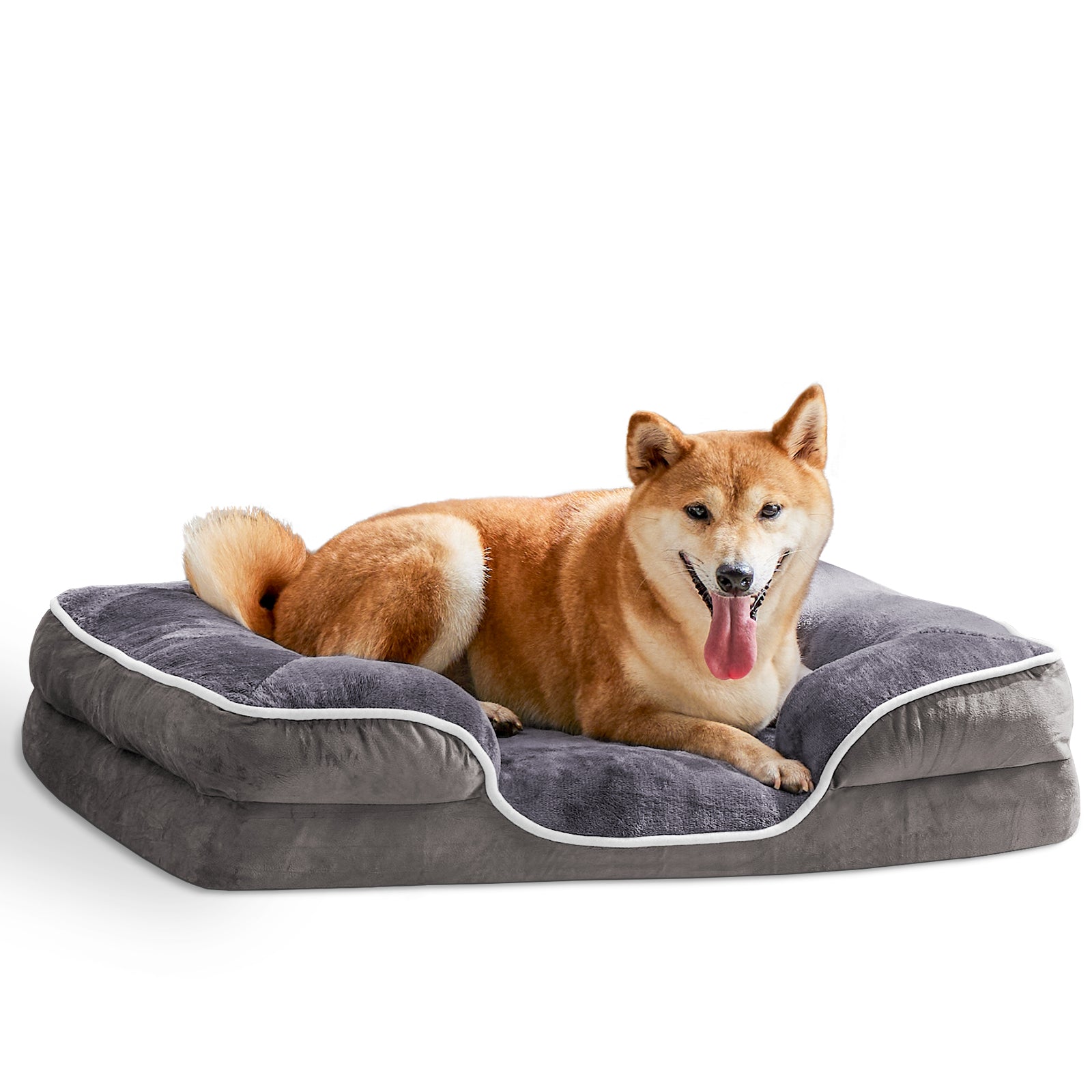 Dog lying on a gray pet bed