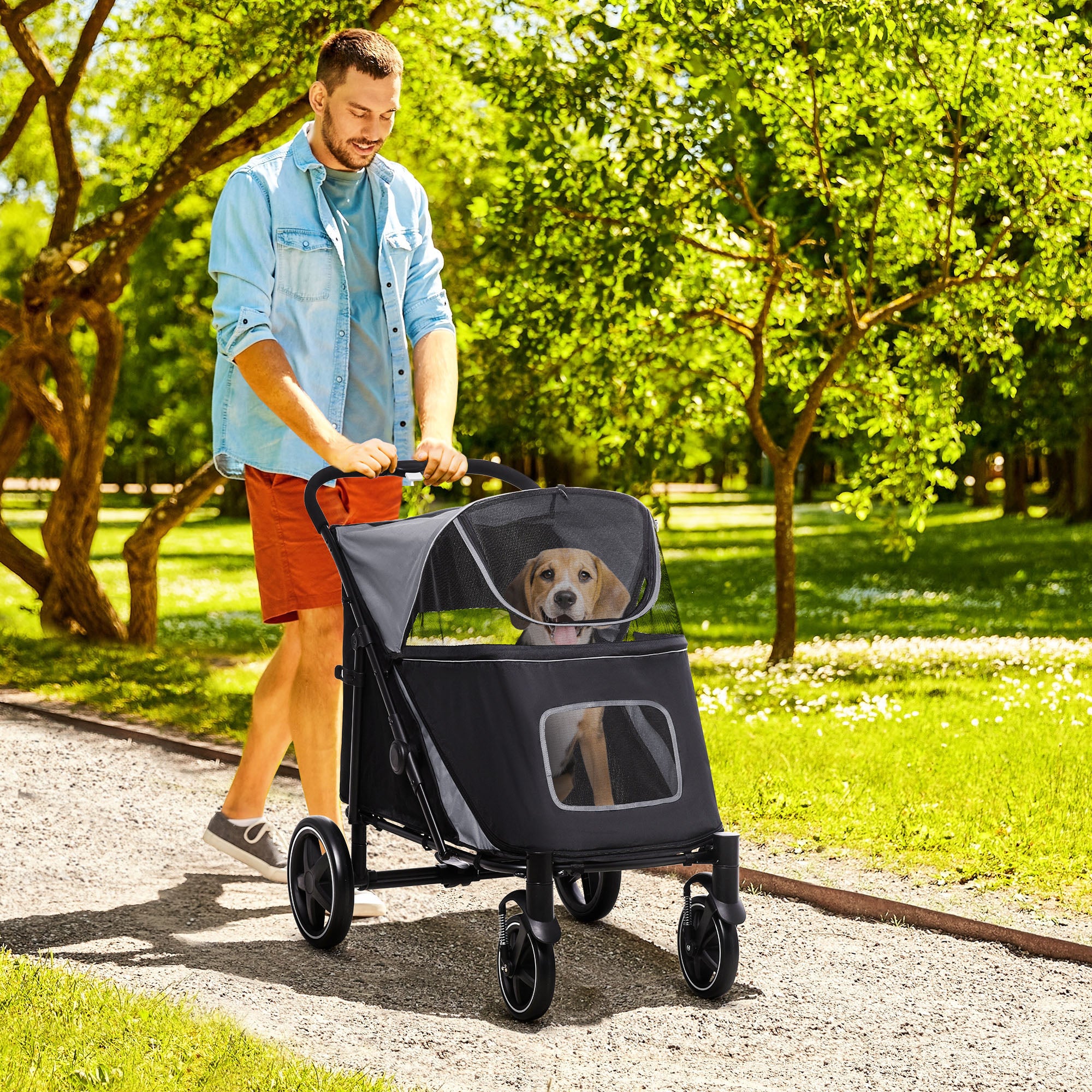 Man pushing a pet stroller with a dog in a park