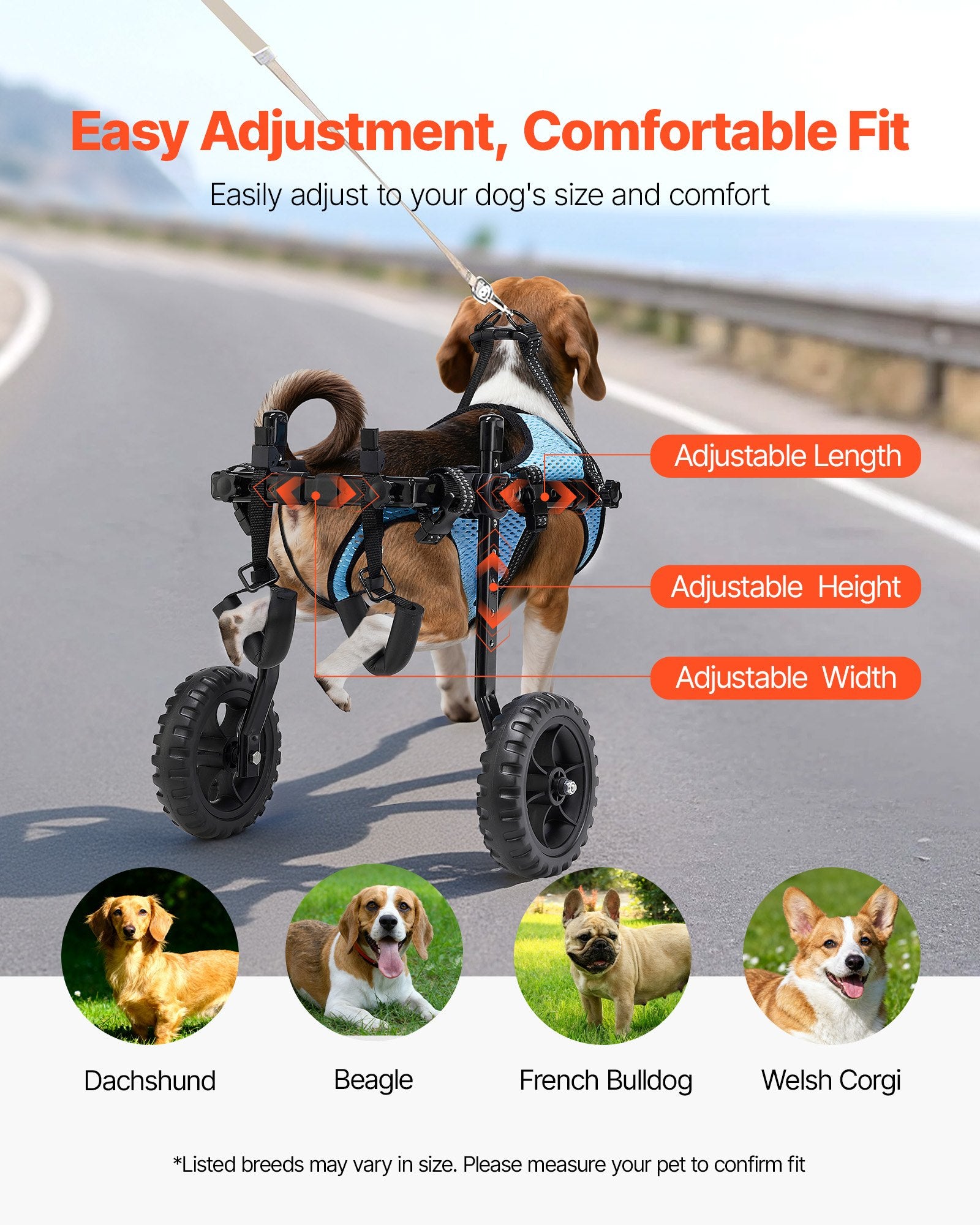 Dog in a wheelchair outdoors with adjustable features and images of different dog breeds.