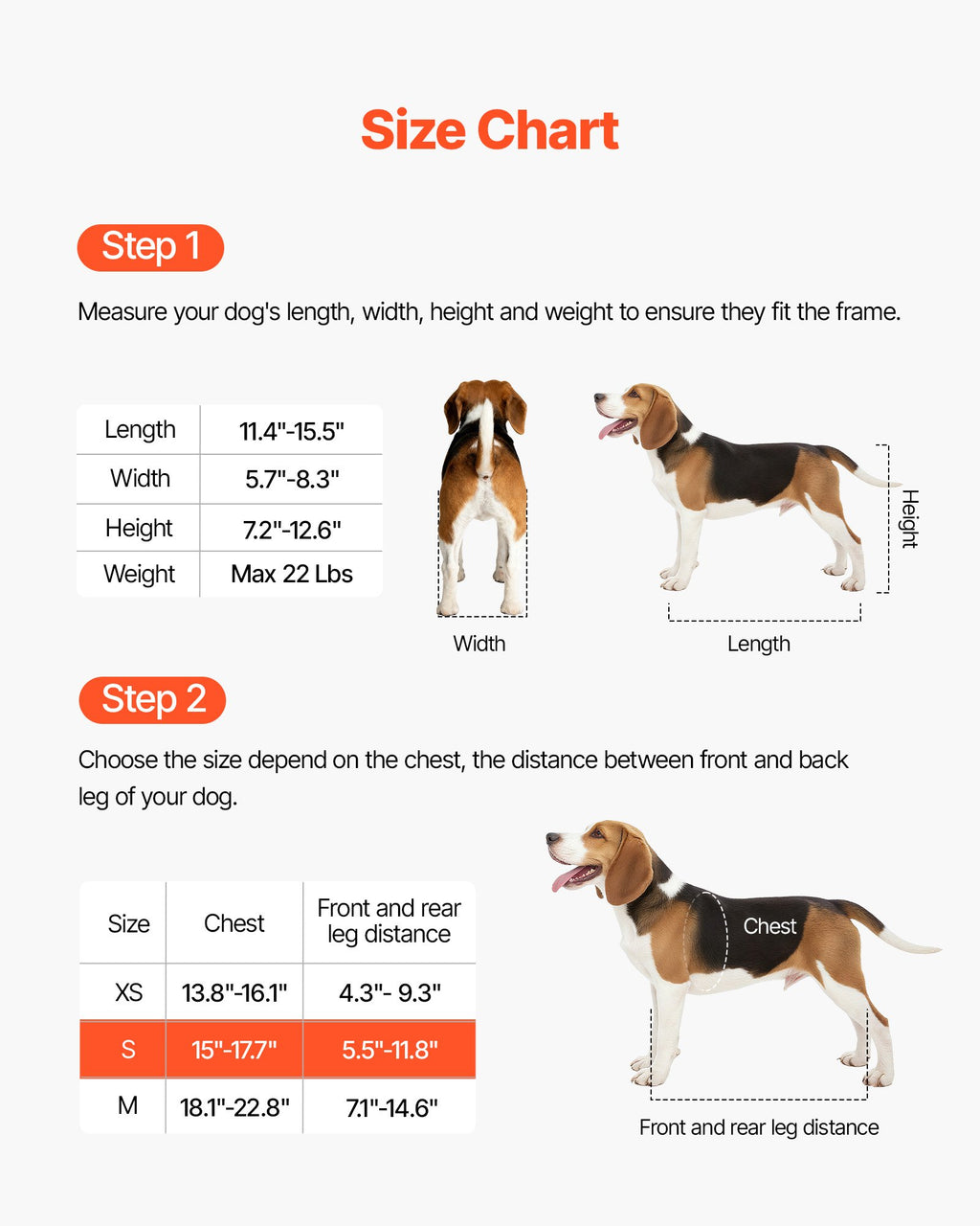 Dog size chart with measurements and illustrations of dogs