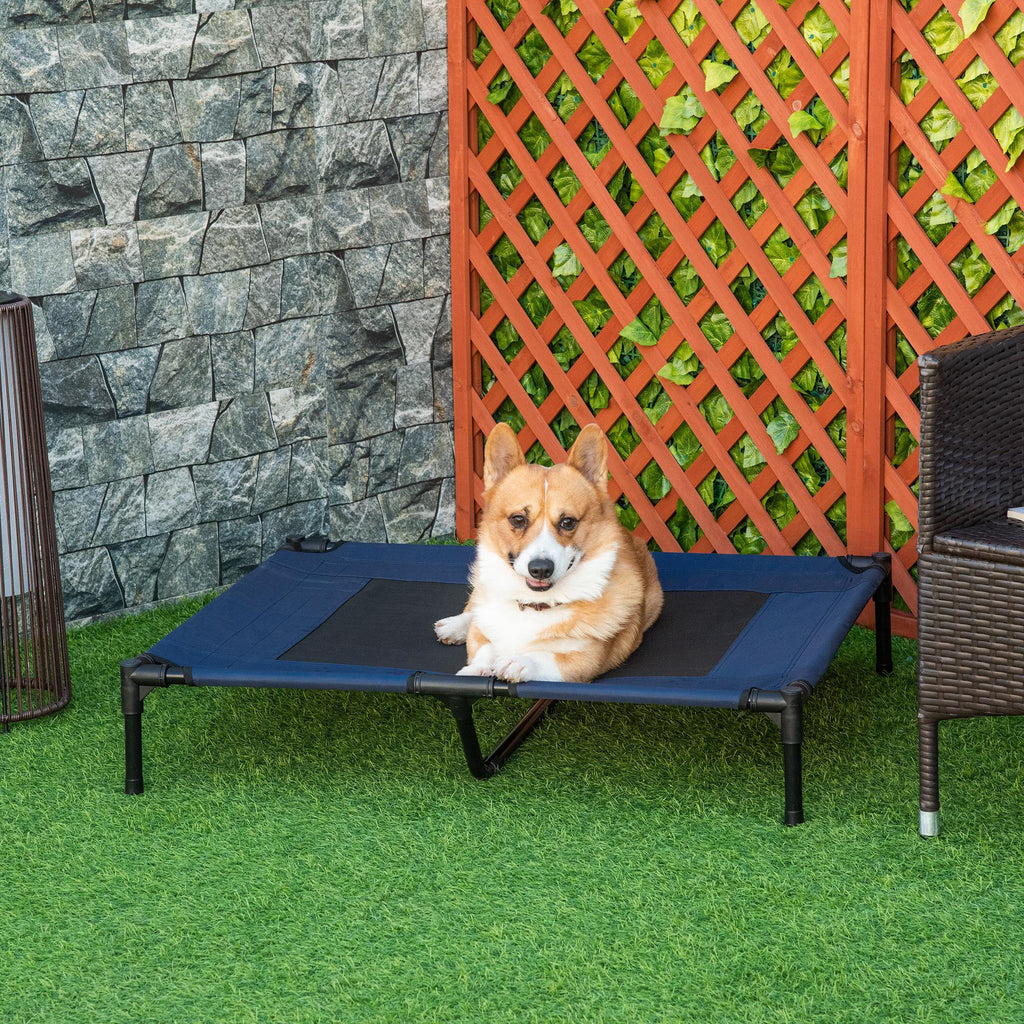 Small dog sitting on a blue raised pet bed outdoors with a stone wall and lattice background.