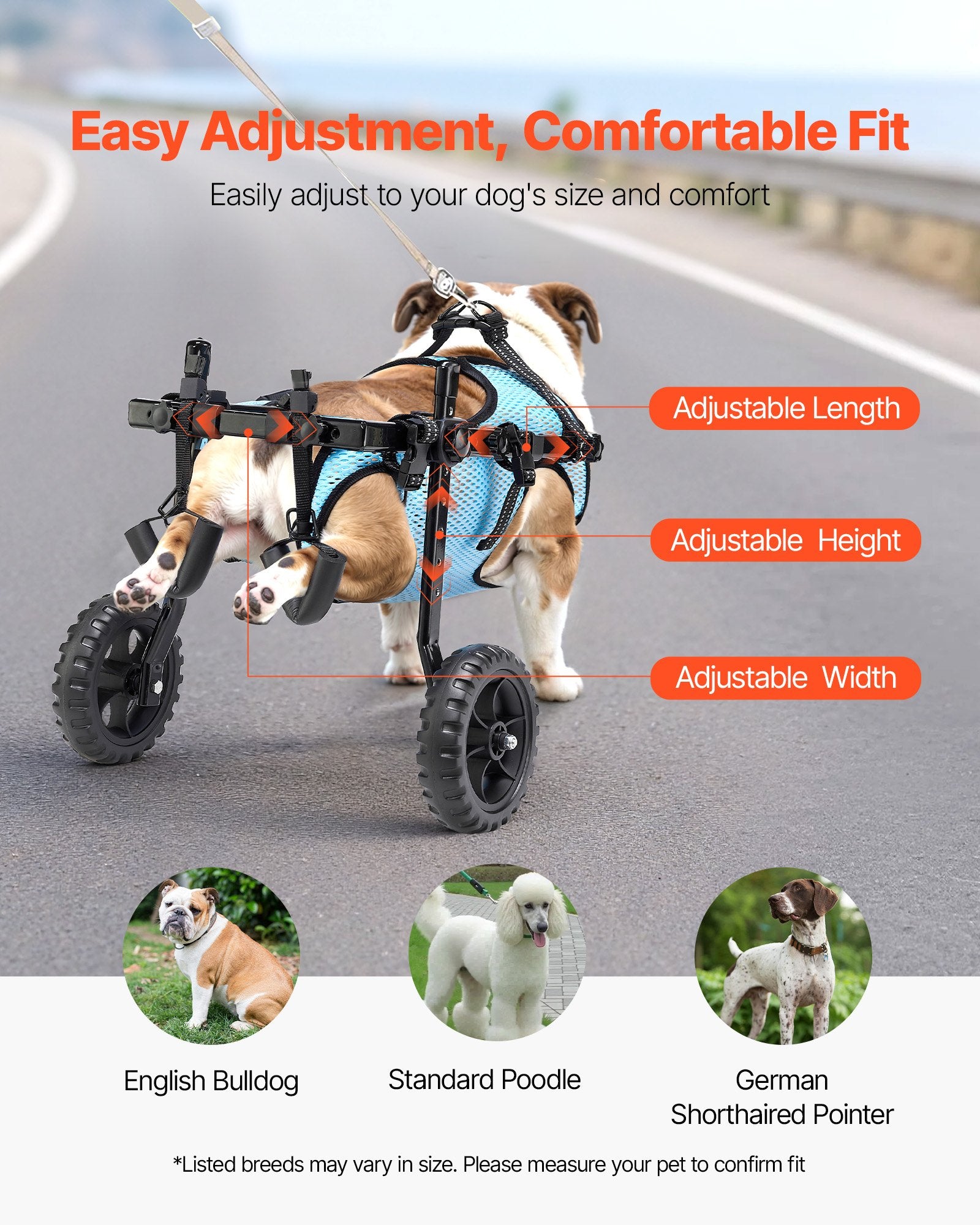 Dog in a wheelchair outdoors with adjustable features and images of different breeds.