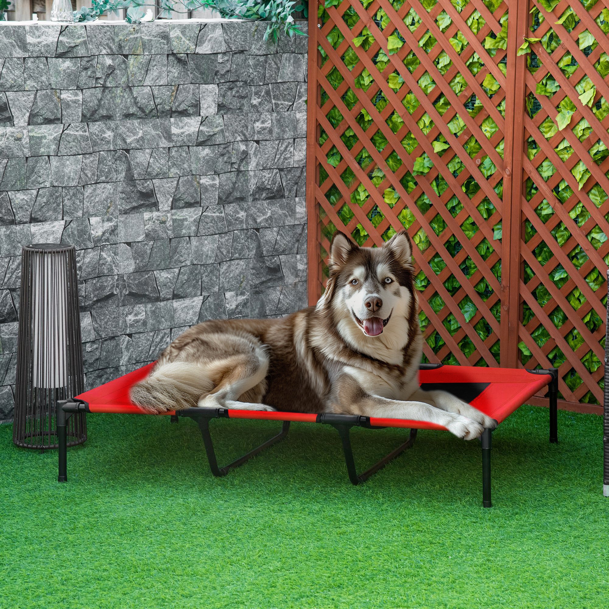 Husky dog lying on a red raised pet bed in an outdoor setting with a stone wall and greenery